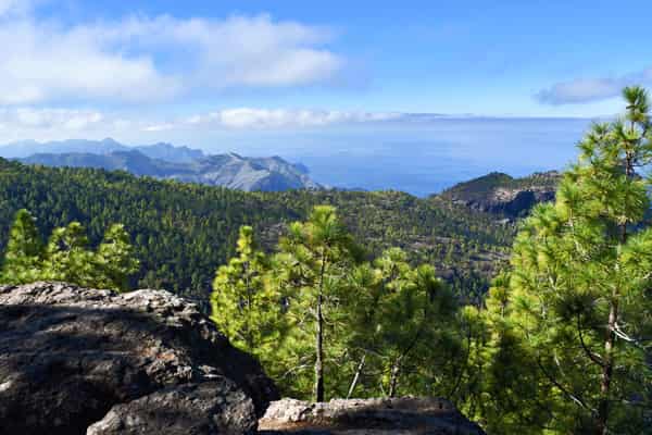 Your Gran Canaria background slide052-min