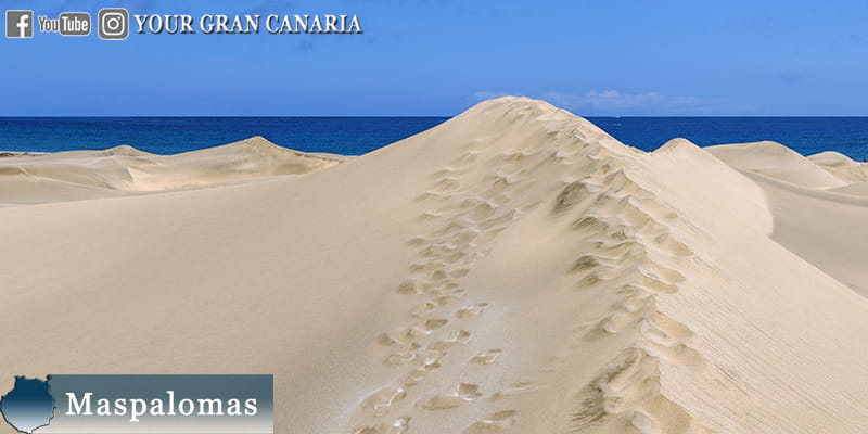 Your Gran Canaria tour Maspalomas 06-min