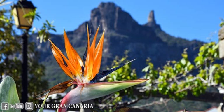 Your Gran Canaria Tour