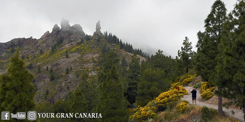Your Gran Canaria Tour
