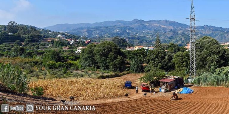 Your Gran Canaria Tour