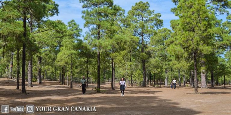 Your Gran Canaria Tour