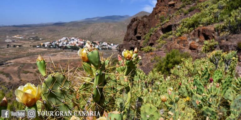 Your Gran Canaria Tour