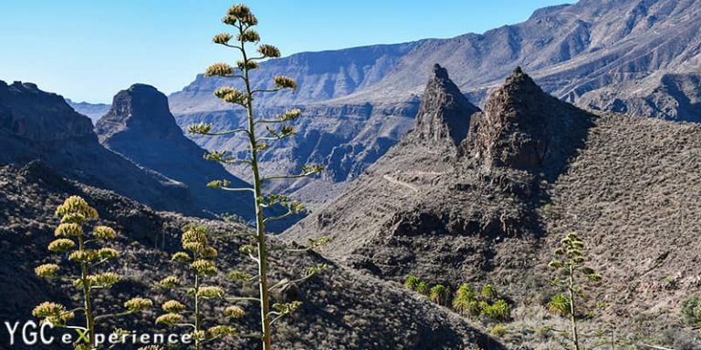 Your Gran Canaria Tour