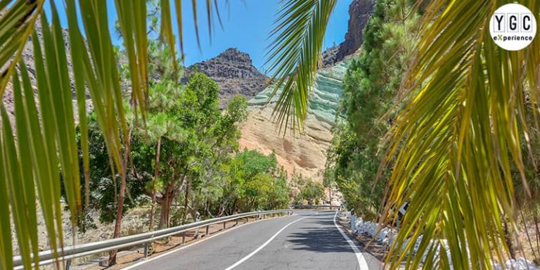 Your Gran Canaria Tour