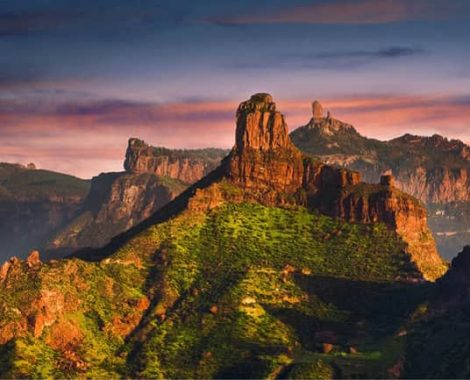 Naturaleza & Belleza