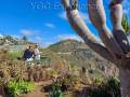 Your Gran Canaria Tour