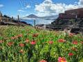 Your Gran Canaria Tour
